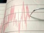 The earthquake tremors were felt around 2.19am on Wednesday. (Representative Image)