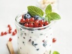 yoghurt