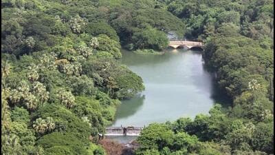 BMC seeks 7,836 sqft forest land near SGNP for widening bridge BMC seeks 7,836 sqft forest land near SGNP for widening bridge