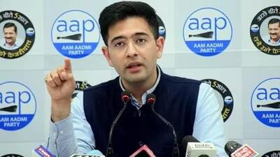 Aam Aadmi Party MP Raghav Chadha. (File)