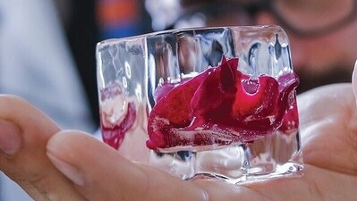 Frozen cubes of your favourite bitters, alcohol, or simply garnish such as rose or thyme can be popped out anytime to add to liquors or mixers. Frozen cubes of your favourite bitters, alcohol, or simply garnish such as rose or thyme can be popped out anytime to add to liquors or mixers.
