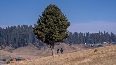 Scientists have noted that the current winter conditions in northern India, characterized by the absence of snowfall in the mountains and intensified cold compounded by thick fog in the plains, have not been observed for approximately a decade. (AP) Scientists have noted that the current winter conditions in northern India, characterized by the absence of snowfall in the mountains and intensified cold compounded by thick fog in the plains, have not been observed for approximately a decade. (AP)