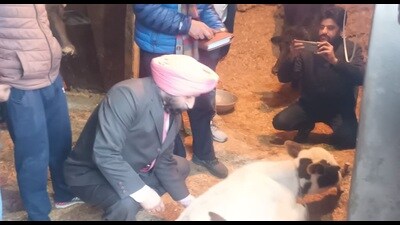 Punjab animal husbandry director Gursharanjit Singh Bedi during inspection of Raike village in Bathinda on Tuesday. (Sanjeev Kumar/HT) Punjab animal husbandry director Gursharanjit Singh Bedi during inspection of Raike village in Bathinda on Tuesday. (Sanjeev Kumar/HT)