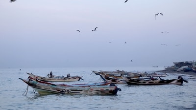 Fishermen boats as seen off the coast in al-Khokha district on the southern edge of the Red Sea city of Hodeida. (AFP) Fishermen boats as seen off the coast in al-Khokha district on the southern edge of the Red Sea city of Hodeida. (AFP)