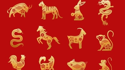 Representative Image of all Chinese zodiac signs. (Freepik) Representative Image of all Chinese zodiac signs. (Freepik)