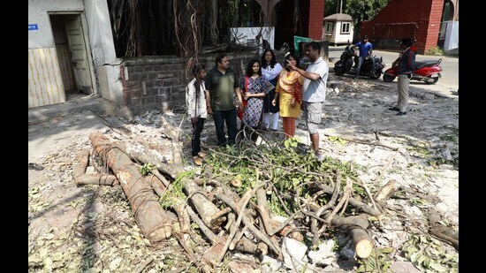 Already, there is the Maharashtra (Urban Areas) Protection and Preservation of Trees Act, 1975, in place to safeguard and conserve trees in urban areas. (HT PHOTO)