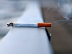 The report shows that 150 countries have been successful in reducing tobacco use, with India among the countries that have taken the most effective measures over the years to curb the practice. The report shows that 150 countries have been successful in reducing tobacco use, with India among the countries that have taken the most effective measures over the years to curb the practice.