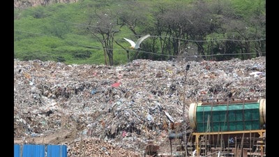 Owing to the non-availability of a garbage processing facility, Panchkula tumbled down from the 86th rank in 2022 to the 139th position among 446 cities with a population above 1 lakh in the 2023 Swachh Survekshan rankings released recently. (Sant Arora/HT)