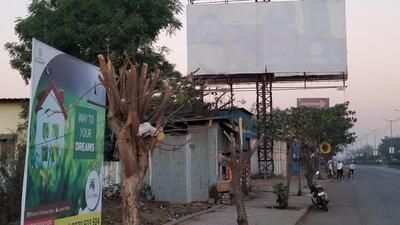 The issue was brought to the notice of the authorities by Angholichi Goli (Bath Pill), an organisation working to conserve trees and prevent the illegal nailing of advertisement boards on trees. (REPRESENTATIVE PHOTO) The issue was brought to the notice of the authorities by Angholichi Goli (Bath Pill), an organisation working to conserve trees and prevent the illegal nailing of advertisement boards on trees. (REPRESENTATIVE PHOTO)