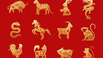 Let's find out the most powerful Chinese zodiac signs and see what the future might hold for them. (Freepik) Let's find out the most powerful Chinese zodiac signs and see what the future might hold for them. (Freepik)
