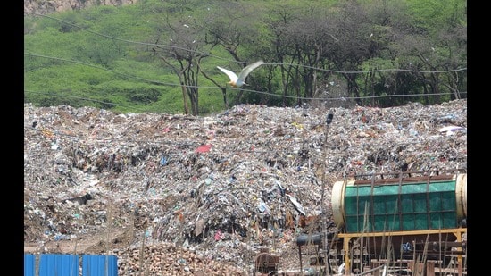 Owing to the non-availability of a garbage processing facility, Panchkula tumbled down from the 86th rank in 2022 to the 139th position among 446 cities with a population above 1 lakh in the 2023 Swachh Survekshan rankings released recently. (Sant Arora/HT)