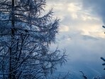 Icy temperatures have been dominating northern Europe for the past few days. The cold is set to intensify in Germany and parts of France until Saturday.