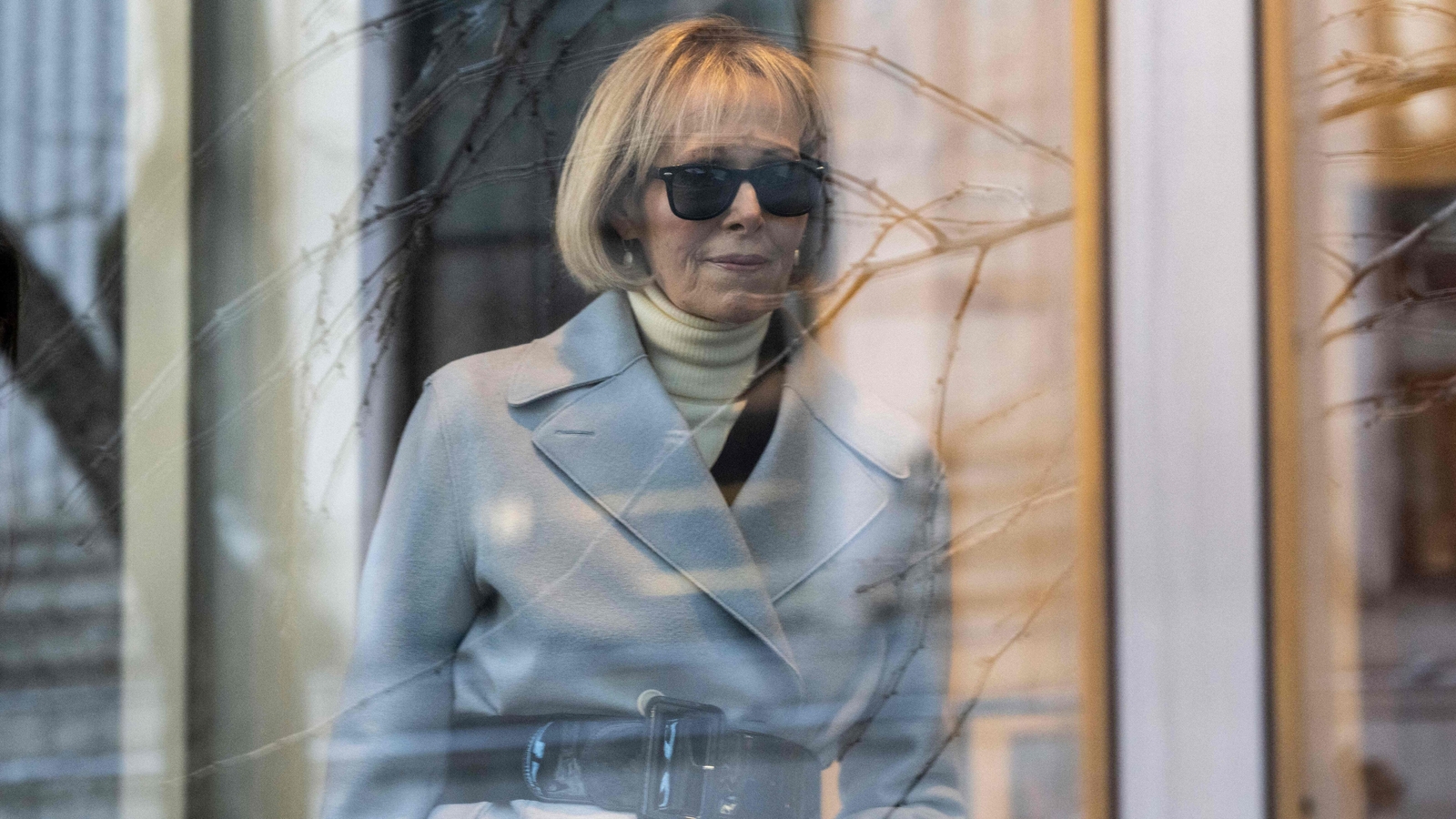 Who is E Jean Carroll, the former magazine columnist? - Vimarsana News