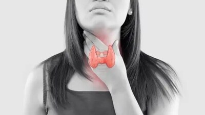 Thyroid health heavily depends on the diet we consume and the lifestyle we lead. It is extremely important to have a diet loaded with thyroid supporting nutrients to ensure that thyroid health is maintained. Naturopathic Doctor Corina Dunlap noted down a few nutrients that should be added to the daily diet. (Unsplash) Thyroid health heavily depends on the diet we consume and the lifestyle we lead. It is extremely important to have a diet loaded with thyroid supporting nutrients to ensure that thyroid health is maintained. Naturopathic Doctor Corina Dunlap noted down a few nutrients that should be added to the daily diet. (Unsplash)
