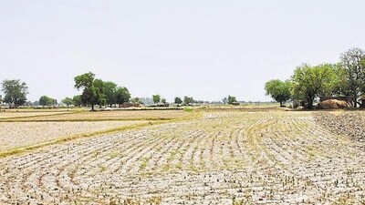 The land acquisition spree of financially strong developers and entities continues and as many as 97 separate land deals were closed for over 2707 acres in 2023 across the country. (ISTOCK) The land acquisition spree of financially strong developers and entities continues and as many as 97 separate land deals were closed for over 2707 acres in 2023 across the country. (ISTOCK)