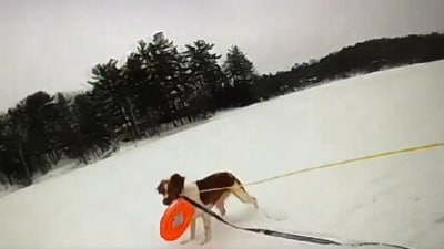 With dog Ruby's assistance, Michigan officers were able to successfully complete an ice rescue operation. (Michigan State Police/Facebook) With dog Ruby's assistance, Michigan officers were able to successfully complete an ice rescue operation. (Michigan State Police/Facebook)