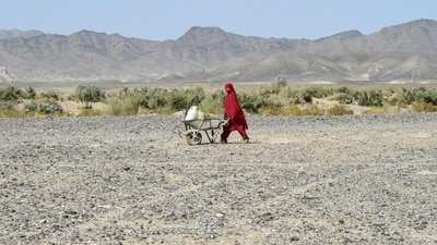 Pakistan-Iran Dispute: A woman carries water cans in a wheelbarrow at the Koh-e-Sabz area of Pakistan's south-west Baluchistan province where Iran launched an airstrike. (AFP)