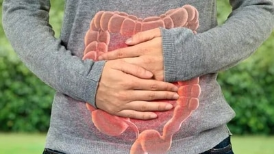 Digestive system: The gut and the brain are connected via the vagus nerve which helps in maintaining overall health. (Unsplash) Digestive system: The gut and the brain are connected via the vagus nerve which helps in maintaining overall health. (Unsplash)