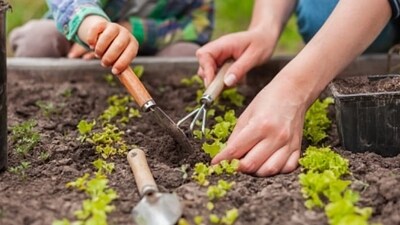 Time outdoor and grounding: Reconnect with nature by spending more time outdoors, soaking up the sunshine, and practicing grounding techniques.&nbsp; (Unsplash)