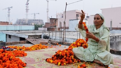 A woman makes garlands at her house in Ayodhya as the construction site of Ram Temple is seen in the background. (REUTERS) A woman makes garlands at her house in Ayodhya as the construction site of Ram Temple is seen in the background. (REUTERS)
