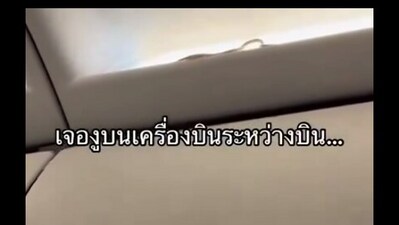 Snapshot of the snake slithering in the plane.
