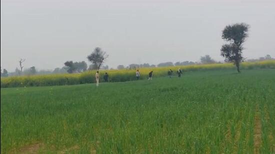 Malik said tiger pugmarks have been spotted in the villages of Nandarampur and Bhatsana in Rewari. (HT Photo)