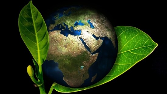 Energy Saving Week (Representational Image)