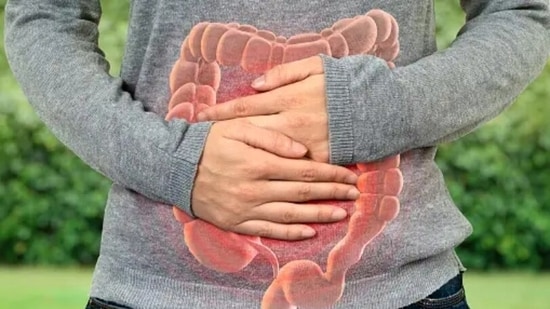 Digestive system: The gut and the brain are connected via the vagus nerve which helps in maintaining overall health.&nbsp;(Unsplash)