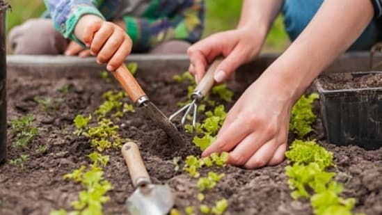 Time outdoor and grounding: Reconnect with nature by spending more time outdoors, soaking up the sunshine, and practicing grounding techniques.&nbsp;(Unsplash)