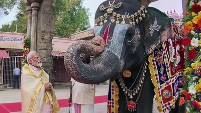 During his visit, PM Modi wore a spotless 'veshti' (dhoti) and an 'angavastram' (a shawl) as he prayed with folded hands in the Lord Vishnu temple. (ANI ) During his visit, PM Modi wore a spotless 'veshti' (dhoti) and an 'angavastram' (a shawl) as he prayed with folded hands in the Lord Vishnu temple. (ANI )