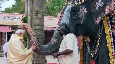 PM Modi was also blessed by an elephant named 'Andal' on the temple premises, which even played a mouth organ. (ANI ) PM Modi was also blessed by an elephant named 'Andal' on the temple premises, which even played a mouth organ. (ANI )