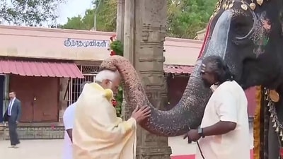 PM Modi took blessings from the temple elephant named 'Andal' in the premises (ANI) PM Modi took blessings from the temple elephant named 'Andal' in the premises (ANI)