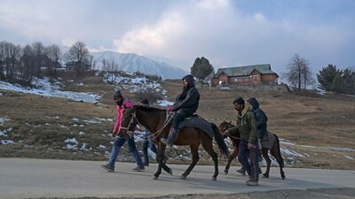 A guides lead visitors during a horse ride past ski slopes usually covered in snow at a ski station in Gulmarg. Credit: AFP A guides lead visitors during a horse ride past ski slopes usually covered in snow at a ski station in Gulmarg. Credit: AFP