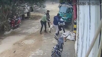 CCTV footage of the incident. Pit bull attacks the toddler. CCTV footage of the incident. Pit bull attacks the toddler.
