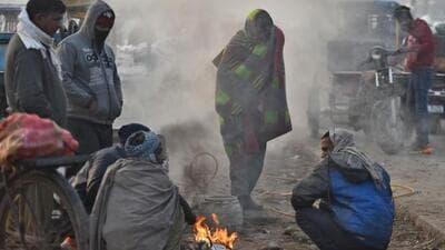 On Sunday, the Delhi-NCR region experienced a slight improvement in weather conditions as dense fog dissipated (Representative Photo) On Sunday, the Delhi-NCR region experienced a slight improvement in weather conditions as dense fog dissipated (Representative Photo)