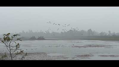 The Samdha Lake in Ayodhya (Gaurav Saigal)