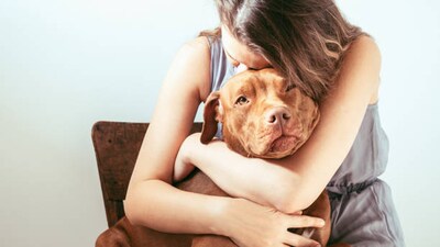 National Hug Your Puppy Day 2024 National Hug Your Puppy Day 2024