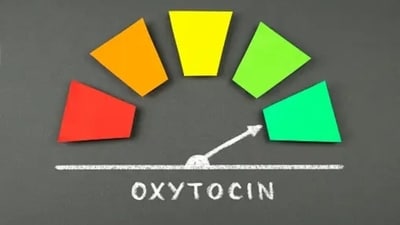Oxytocin: This hormone is associated with childbirth, breastfeeding and sex. By sharing a meal with a loved one or spending time with people we feel happy with, we can support Oxytocin. (Unsplash) Oxytocin: This hormone is associated with childbirth, breastfeeding and sex. By sharing a meal with a loved one or spending time with people we feel happy with, we can support Oxytocin. (Unsplash)