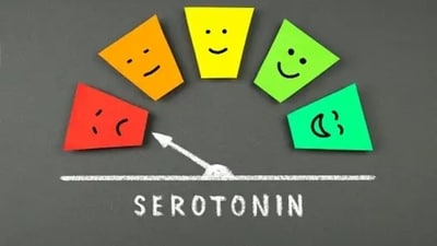 Serotonin: This hormone impacts the daily processes of the body including eating, sleeping, digesting and mood regulation. By doing gratitude journaling, or walking in nature, we can help in the production of Serotonin. (Unsplash) Serotonin: This hormone impacts the daily processes of the body including eating, sleeping, digesting and mood regulation. By doing gratitude journaling, or walking in nature, we can help in the production of Serotonin. (Unsplash)