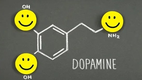 Dopamine: This hormone plays a focus in motivating us and helping us to stay focused. We can support this hormone by listening to good music, having adequate protein and having a proper sleep.&nbsp;(Unsplash)