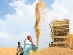 Food output is closely linked to inflation as well as growth of the rural economy. (PTI)