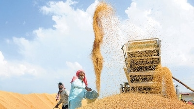 Food output is closely linked to inflation as well as growth of the rural economy. (PTI) Food output is closely linked to inflation as well as growth of the rural economy. (PTI)