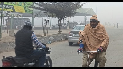 Cold conditions continued unabated in Punjab and Haryana on Monday, with temperatures hovering below normal at several places. (HT File Photo)