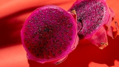 Fruits like dragon fruit and mulberries: Loaded with gut-prebiotic fibres and vitamins, these wonderful fruits can ensure good digestive health. (Freepik) Fruits like dragon fruit and mulberries: Loaded with gut-prebiotic fibres and vitamins, these wonderful fruits can ensure good digestive health. (Freepik)