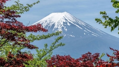 Japan's iconic mountain has seen trash problems and more injuries among inexperienced and poorly equipped climbers. (Pexels) Japan's iconic mountain has seen trash problems and more injuries among inexperienced and poorly equipped climbers. (Pexels)
