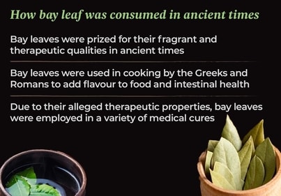 Ancient Mediterraneans believed the tree could protect them from misfortune and used to plant it near their homes to prevent lightning strikes. Ancient Mediterraneans believed the tree could protect them from misfortune and used to plant it near their homes to prevent lightning strikes.