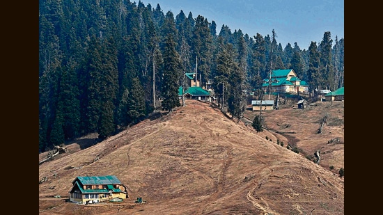 Gulmarg’s resorts slopes, which are usually covered in snow at this time of the year, carry a green look last week. (AFP)