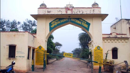 The Sariska Tiger Reserve. (HT PHOTO)