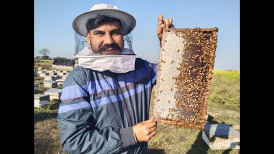 Gurpiar Singh shows his beehive in Bathinda on Tuesday (HT) Gurpiar Singh shows his beehive in Bathinda on Tuesday (HT)