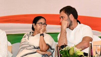 West Bengal CM Mamata Banerjee and Congress leader Rahul Gandhi during an INDIA alliance meeting in Bengaluru. (HT photo) West Bengal CM Mamata Banerjee and Congress leader Rahul Gandhi during an INDIA alliance meeting in Bengaluru. (HT photo)